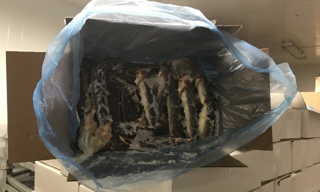 image: 16 siktet i kongekrabbe-saken